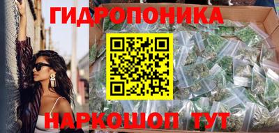тгк Канаш