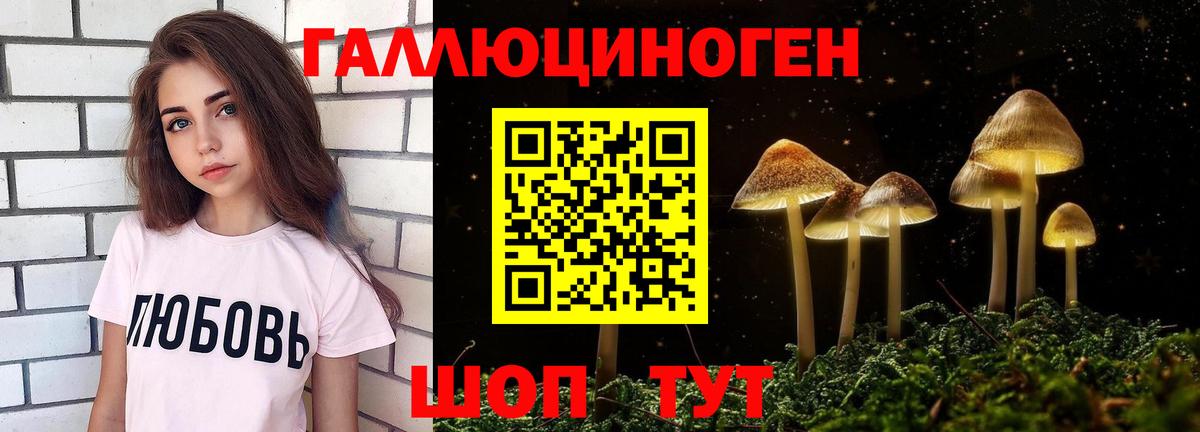 Псилоцибиновые грибы Psilocybine cubensis Туймазы